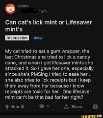 One bite of the wrong food, and your cat's nine lives could be up! Can Cat S Lick Mint Or Lifesaver Mint S My Cat Tried To Eat A Gum Wrapper The Last Christmas She Tried To Lick A Candy Cane And When I Got Lifesaver Mints She