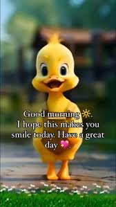 Dori Villa (dorivilla)