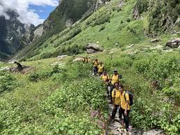 Valley of flowers best time to visit. The Best Time To Trek To Valley Of Flowers A Monthwise Guide