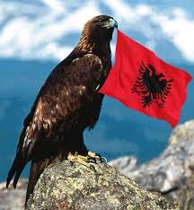 Looking for a good deal on albanian eagle? Spirit Of Eagles Albanian Eagle Albania Eagle Wallpaper