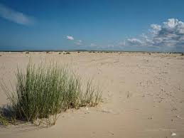 Das größte angebot in ganz ostfriesland und der nordsee: Tipps Fur Ostfriesland Schonste Orte Beste Strande Unterkunfte