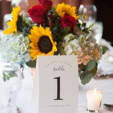 Magical doremi updated their profile picture. Forum Planning Weddingwire