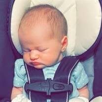 Harlow Nicole Obituary