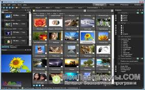 Acdsee Pro 7 скачать бесплатно русская версия с ключом Acdsee Pro 7 Skachat Besplatno Russkaya Versiya