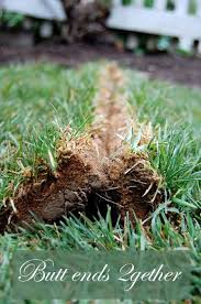 How To Lay Sod For A Beautiful Lawn In 2020 How To Lay Sod Sod Installation Lawn Care