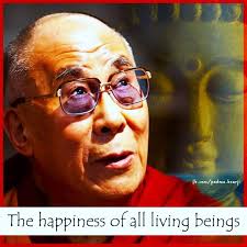 What is the true meaning of life according to HH Dalai Lama?