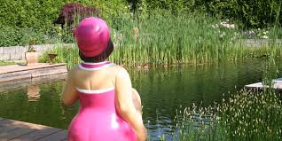En mai les plantes rustiques sont intégrées au bassin. Comment Creer Un Bassin De Jardin Naturel