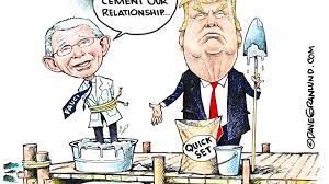 (diana walker/life images collection via getty images). Granlund Cartoon Trump Cements Relationship With Fauci