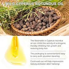 Image result for Cyperus rotundus