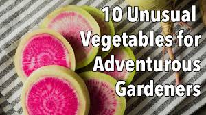 Welcome to fair dinkum seeds. 10 Unusual Vegetables For Adventurous Gardeners