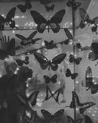 See more ideas about black aesthetic wallpaper, black aesthetic, aesthetic wallpapers. Butterfly Aesthetic Black Aesthetic Wallpaper Gray Aesthetic Night Aesthetic Black And W In 2021 Black And White Picture Wall Black Aesthetic Black And White Aesthetic