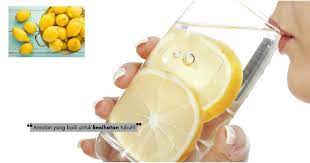 Sebenarnya banyak lagi khasiat campuran madu asli dan lemon ini walaupun tidak banyak kajian cara penyediaannya sangatlah mudah. Magis Kombinasi Lemon Madu Untuk Kesihatan Sangat Baik Mengawal Diet Nona