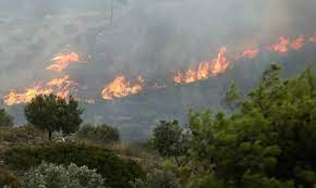 Jul 01, 2021 · φωτιά ξέσπασε σε δασική έκταση στην περιοχή κακοδίκι χανίων κρήτης. Fwtia Twra Megalh Pyrkagia Sthn Korin8ia Ektakth Proeidopoihsh Apo To 112 Newsbomb Eidhseis News