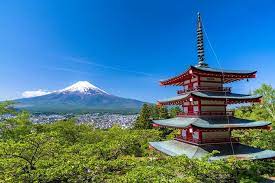 Check spelling or type a new query. Mt Fuji 5th Station Peach O Grape Picking Tour Da Tokyo 2021