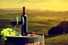 Il cammino di san tommaso e il sinodo dei giovani 2018. Gratis Starkung Fur Pilger Italien Bietet Wanderern Kostenfreien Wein