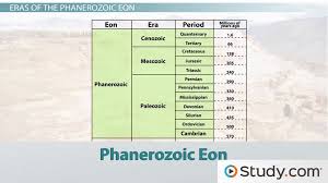 The History Of Life On Earth Timeline And Characteristics Of Major Eras