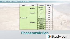 The History Of Life On Earth Timeline And Characteristics Of Major Eras