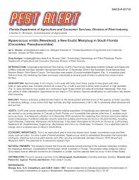 .coast termite & pest control is licensed by the state of florida department of agriculture & pest control. Pdf Pest Alert Nipaecoccus Viridis Newstead A New Exotic Mealybug In South Florida Coccoidea Pseudococcidae