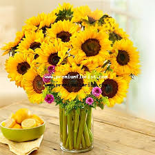 We did not find results for: Send Flowers To Genoa Italy Positive Energy