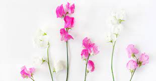 The flowers can last for a long time. Artificial Vs Real Wedding Flowers Which Is Best Southern Bride