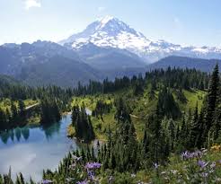 Got Two Days To Visit Olympic National Park Actionhub