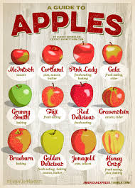 apple chart pink ladys are the best on we heart it