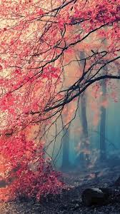 Check spelling or type a new query. Beautiful Landscape Background Hd Images Free Download