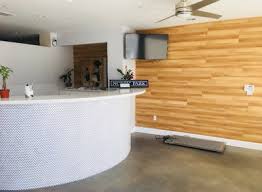 Contact us today for vet services. San Diego Best Low Cost Affordable Spay Neuter Clinic San Diego Affordable Spay Neuter Clinic Low Cost Veterinarian Escondido