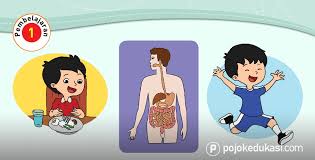 Ada bahan bacaan yang harus didiskusikan dengan teman kelompokmu. Lengkap Kunci Jawaban Halaman 55 56 57 61 62 Tema 6 Kelas 3 Buku Siswa Subtema 2 Pembelajaran 1 Pojok Edukasi