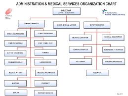 63 Rare Sti Organizational Chart