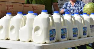What do you think about pasteurization? Why Do Milk Jugs Have Circles Built Into Their Sides Details