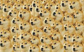 You can find the extension in chrome web store. Doge Meme Wallpapers Top Free Doge Meme Backgrounds Wallpaperaccess