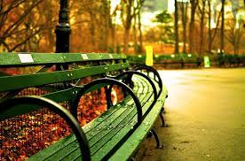 We did not find results for: Central Park New York City Banke Kostenloses Foto Auf Pixabay