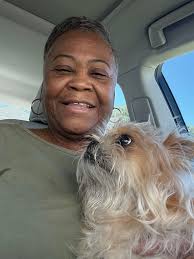 Mobile AL Missing And Found Animals And Surrounding Areas