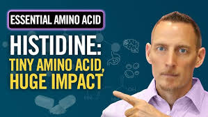 Bioactive Collagen Peptides: Size Does Matter!