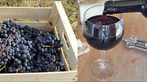 Sarebbe possibile ottenere cinque o sei litri di vino con le attrezzature di casa? Vino Rosso Fatto In Casa Youtube