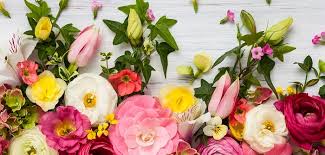 Check spelling or type a new query. Fruhlingsblumen In Topfen In Der Vase Und Im Garten