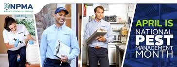 Pagesbusinesseslocal servicehome improvementpest control servicethrasher termite & pest control, san diego. Thrasher Termite Pest Control Inc San Jose Santa Clara Valley Home Facebook