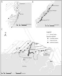 Here the surveyor relates important information about the survey and his findings. Survey Tracks Total Track Including On And Off Effort Portions And Download Scientific Diagram