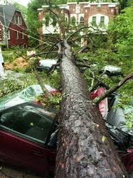 Image result for Opal 1995 Town Car