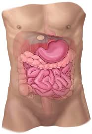 Inguinal and umbilical hernias account for most of them. Conditions We Treat Hiatal Hernia
