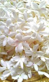 Pin On صور