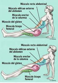 pin de irma cuzco en ejercicios abdominales ejercicios de acondicionamiento fisico ejercicios abdominales ejercicios de entrenamiento