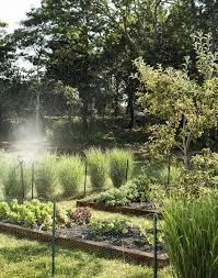 The New Vegetable Garden 8 Favorite Edible Backyards Garden Visits Edible Garden Outdoor Gardens