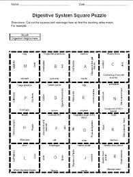 Digestive System Game Body Systems Worksheets Digestive System Games Body Systems