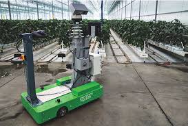 With the scout 2.0 mobile robot, develop new indoor and outdoor robotic applications, while enjoying agile and fast driving. Plant Disease Detecting Robot Created At University Of Guelph Farmtario