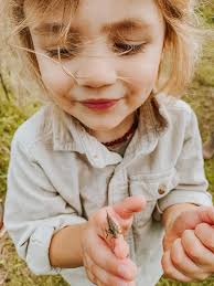 Grasshoppers can change color to blend in
