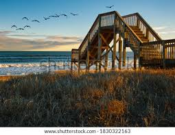 How does hotpads make it easier to find a rental home in jacksonville, nc? Shutterstock Puzzlepix