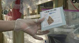 Where did the seeds from china come from? Sherman Woman Receives Plants Mystery Seeds From China