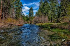 Hat Creek Shasta County California Shasta County Beautiful Places California